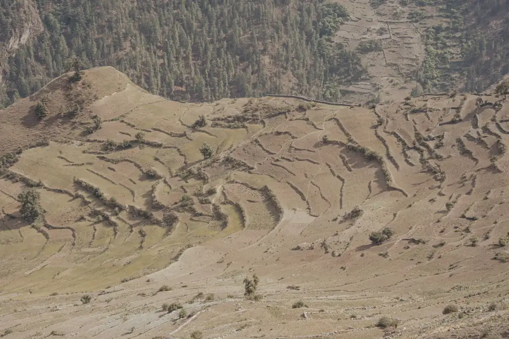 重型货架与穿梭车货架对比：哪种更适合高密度仓储场景