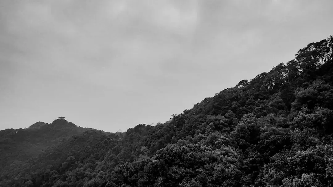高密度仓储货架选型要点与空间利用率提升策略分析