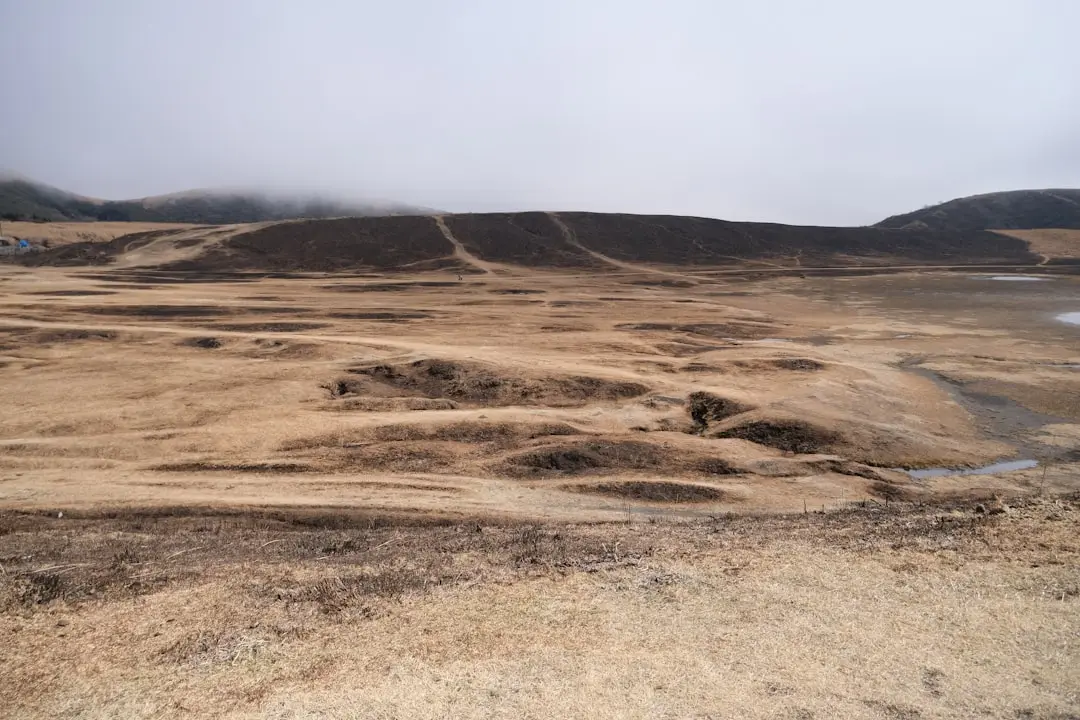 2024年仓储货架制造工艺升级对存储效率的影响研究